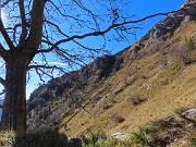 Ai faggi secolari del Menna dal Passo dell’orso ad anello da Zorzone – 27ott25   -  FOTOGALLERY